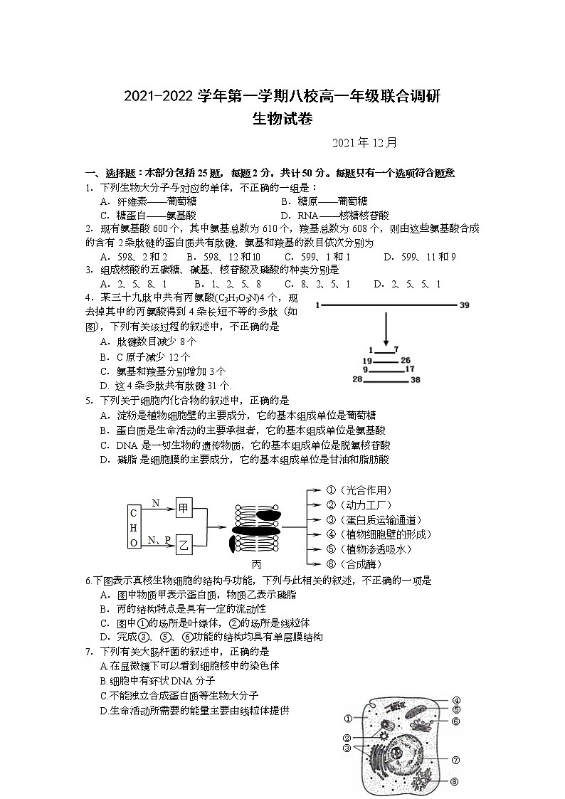 江苏省常州市八校2021-2022学年高一上学期12月联合调研生物试题含答案第1页