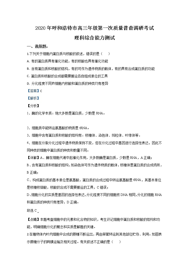 內(nèi)蒙古呼和浩特市2020屆高三第一次質(zhì)量普查調(diào)研考試生物試題 Word版含解析第1頁(yè)