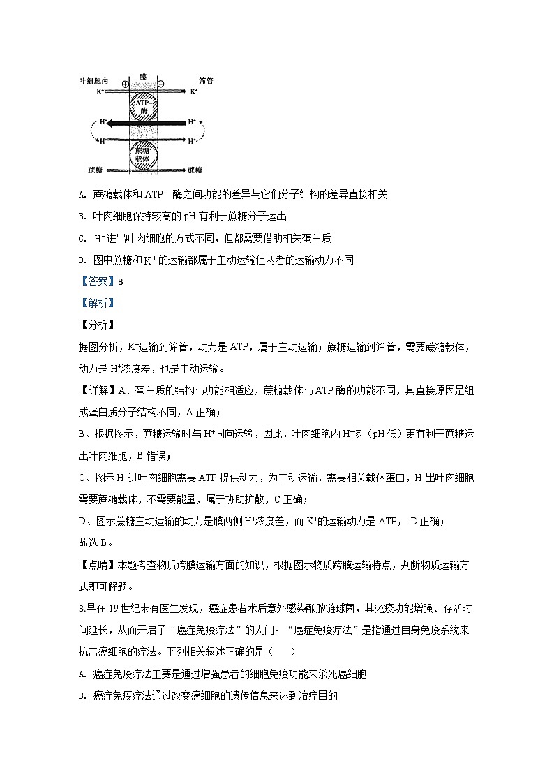 內(nèi)蒙古呼和浩特市2020屆高三第一次質(zhì)量普查調(diào)研考試生物試題 Word版含解析第2頁(yè)