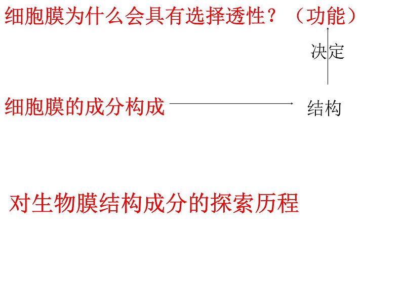 浙科版(2019)高中地理必修一2.2 细胞膜控制细胞与周围环境的联系 课件(共33张PPT)第6页