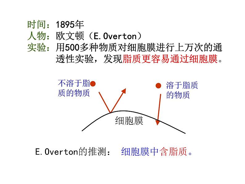 浙科版(2019)高中地理必修一2.2 细胞膜控制细胞与周围环境的联系 课件(共33张PPT)第7页