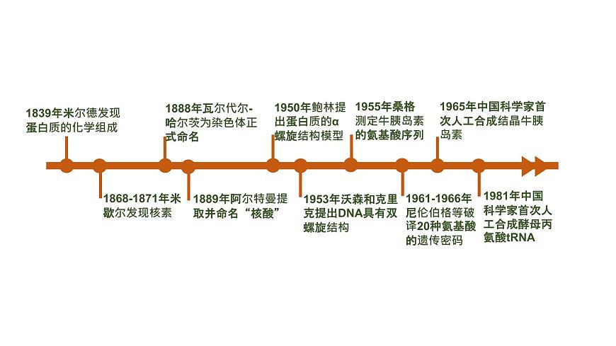 1.1 細胞中的元素和無機化合物（課件）（蘇教版必修1)第4頁
