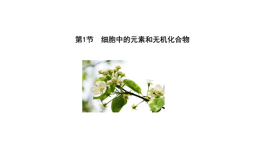 1.1 細胞中的元素和無機化合物（課件）（蘇教版必修1)第6頁