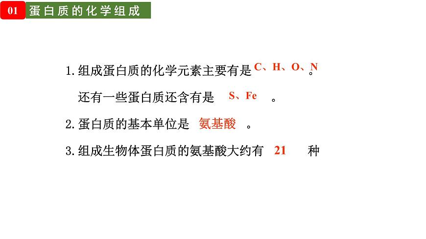 1.3 細(xì)胞中的蛋白質(zhì)和核酸（課件）（蘇教版必修1)第5頁
