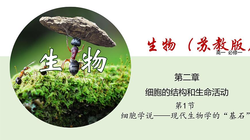 2.1 細胞學(xué)說——現(xiàn)代生物學(xué)的“基石”（課件）（蘇教版必修1)第1頁