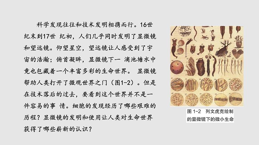 2.1 細胞學(xué)說——現(xiàn)代生物學(xué)的“基石”（課件）（蘇教版必修1)第3頁