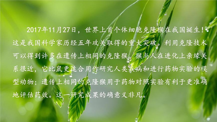 2.1 細胞學(xué)說——現(xiàn)代生物學(xué)的“基石”（課件）（蘇教版必修1)第5頁