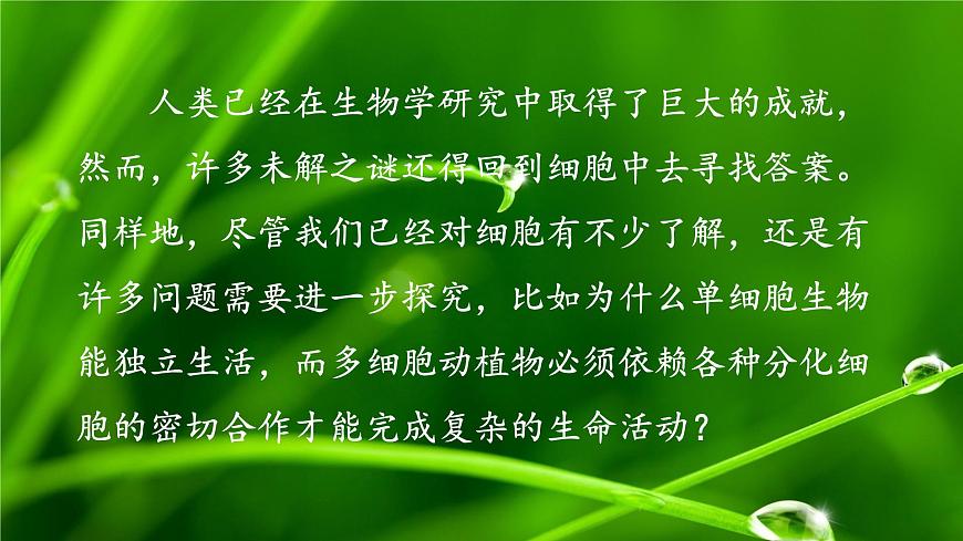 2.1 細胞學(xué)說——現(xiàn)代生物學(xué)的“基石”（課件）（蘇教版必修1)第6頁