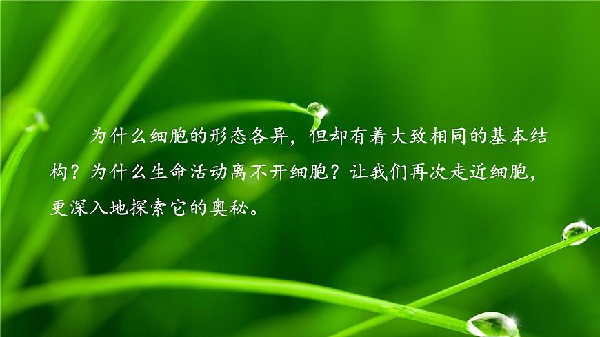 2.1 細胞學(xué)說——現(xiàn)代生物學(xué)的“基石”（課件）（蘇教版必修1)第7頁
