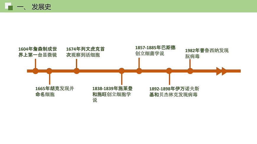 2.1 細胞學(xué)說——現(xiàn)代生物學(xué)的“基石”（課件）（蘇教版必修1)第8頁