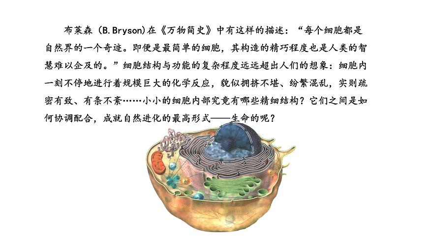 2.2 細(xì)胞——生命活動的基本單位（課件）（蘇教版必修1)第2頁