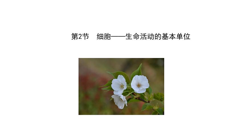 2.2 細(xì)胞——生命活動的基本單位（課件）（蘇教版必修1)第5頁