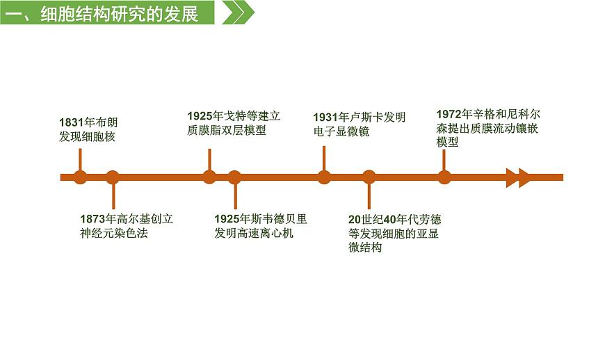 2.2 細(xì)胞——生命活動的基本單位（課件）（蘇教版必修1)第6頁