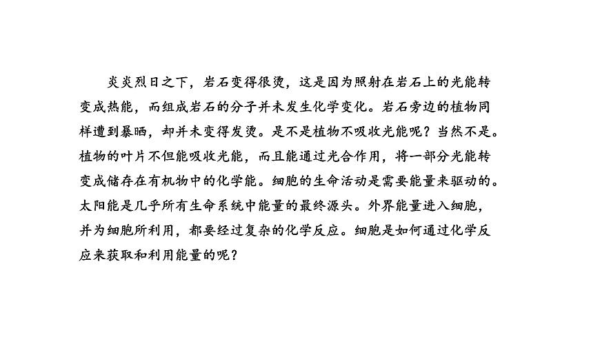 3.1 生命活動(dòng)需要酶和能源物質(zhì)（課件）（蘇教版必修1)第2頁(yè)