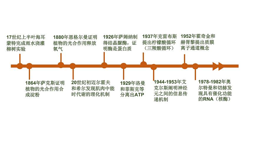 3.1 生命活動(dòng)需要酶和能源物質(zhì)（課件）（蘇教版必修1)第4頁(yè)