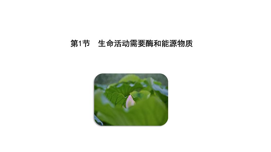 3.1 生命活動(dòng)需要酶和能源物質(zhì)（課件）（蘇教版必修1)第6頁(yè)