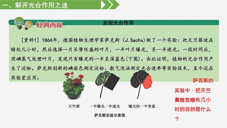 3.2 光合作用——光能的捕獲和轉(zhuǎn)換（課件）（蘇教版必修1)第6頁(yè)