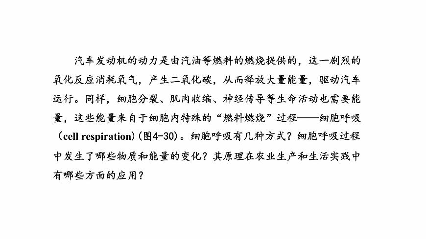 3.3 細(xì)胞呼吸——能量的轉(zhuǎn)化和利用（課件）（蘇教版必修1)第2頁