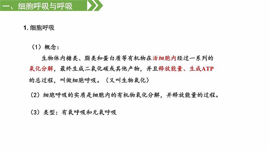 3.3 細(xì)胞呼吸——能量的轉(zhuǎn)化和利用（課件）（蘇教版必修1)第4頁