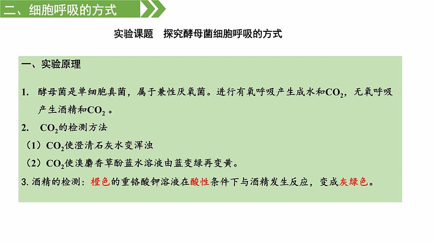 3.3 細(xì)胞呼吸——能量的轉(zhuǎn)化和利用（課件）（蘇教版必修1)第7頁