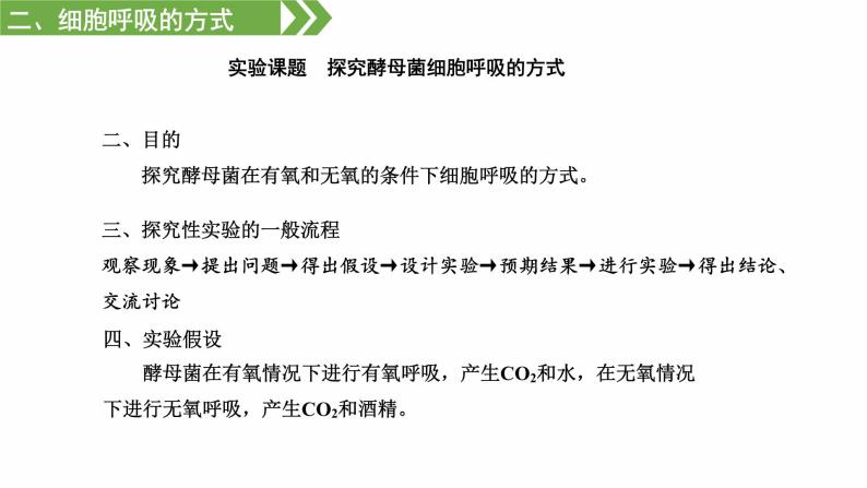 细胞呼吸——能量的转化和利用PPT课件免费下载08