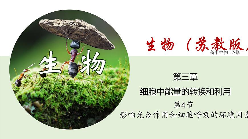 3.4 影響光合作用和細(xì)胞呼吸的環(huán)境因素（課件）（蘇教版必修1)第1頁