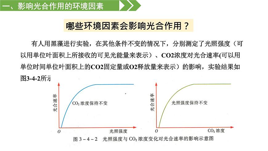 3.4 影響光合作用和細(xì)胞呼吸的環(huán)境因素（課件）（蘇教版必修1)第4頁