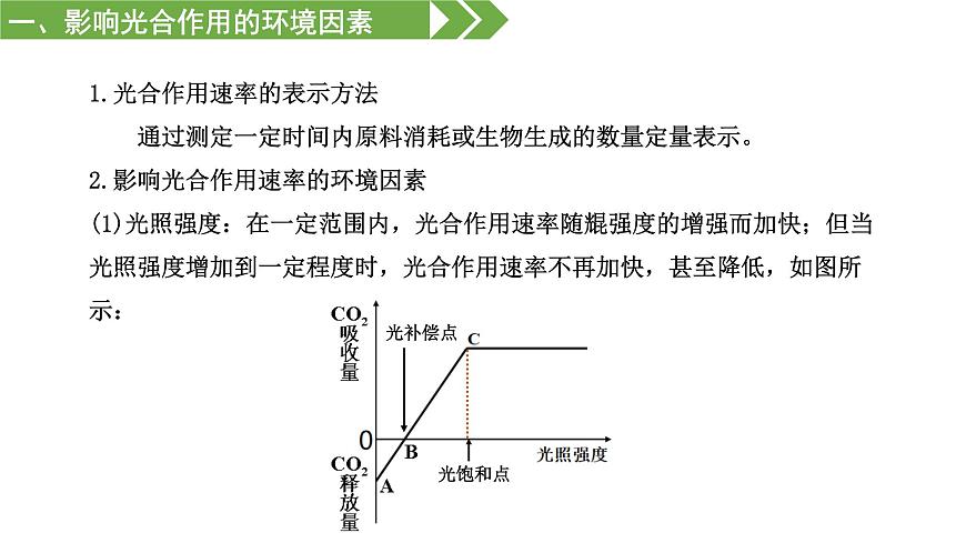 3.4 影響光合作用和細(xì)胞呼吸的環(huán)境因素（課件）（蘇教版必修1)第6頁