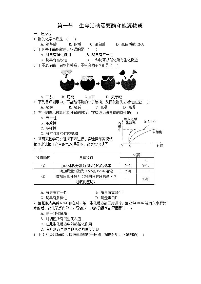 3.1 生命活動需要酶和能源物質(zhì)（練習(xí)）（原卷版）第1頁