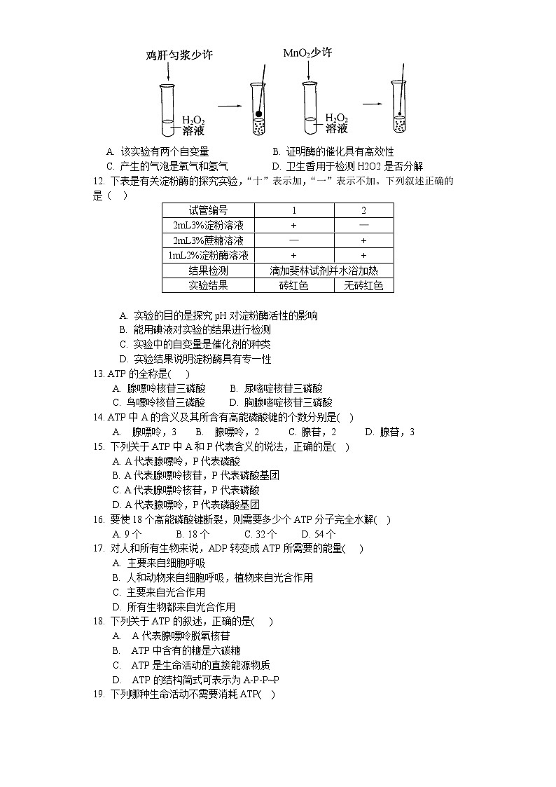3.1 生命活動需要酶和能源物質(zhì)（練習(xí)）（原卷版）第3頁