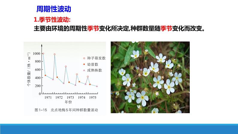 生态因素影响种群数量波动PPT课件免费下载05