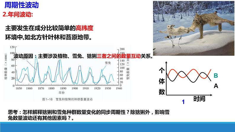 生态因素影响种群数量波动PPT课件免费下载06