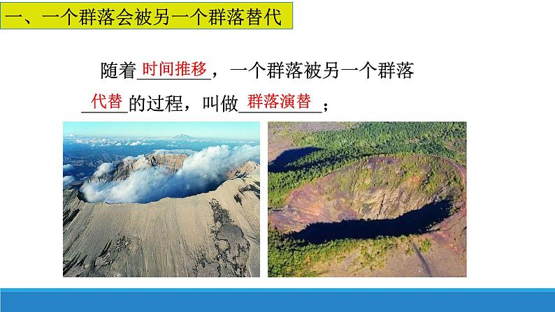 2.4 群落随时间变化有序地演替优质课件(浙科版2019选择性必修2)第5页