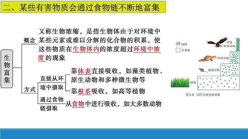 3.2 食物链和食物网形成生态系统的营养结构优质课件(浙科版2019选择性必修2)第7页