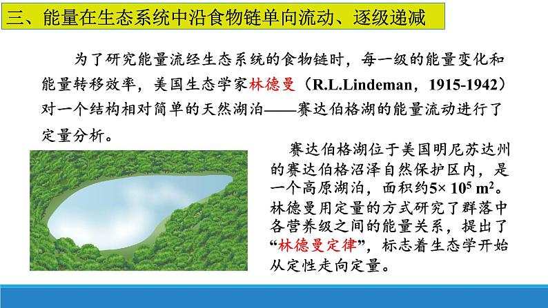 3.3 生态系统中的能量单向递减流动(第二课时)优质课件(浙科版2019选择性必修2)第2页