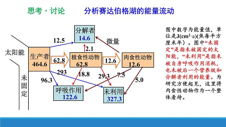 3.3 生态系统中的能量单向递减流动(第二课时)优质课件(浙科版2019选择性必修2)第3页