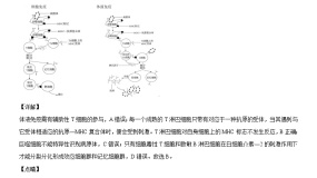周测卷（选择性必修1+种群）优质课件（浙科版2019选择性必修2）