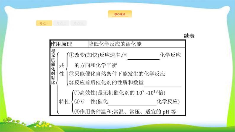 人教版高考生物总复习3.1降低化学反应活化能的酶完美课件PPT08