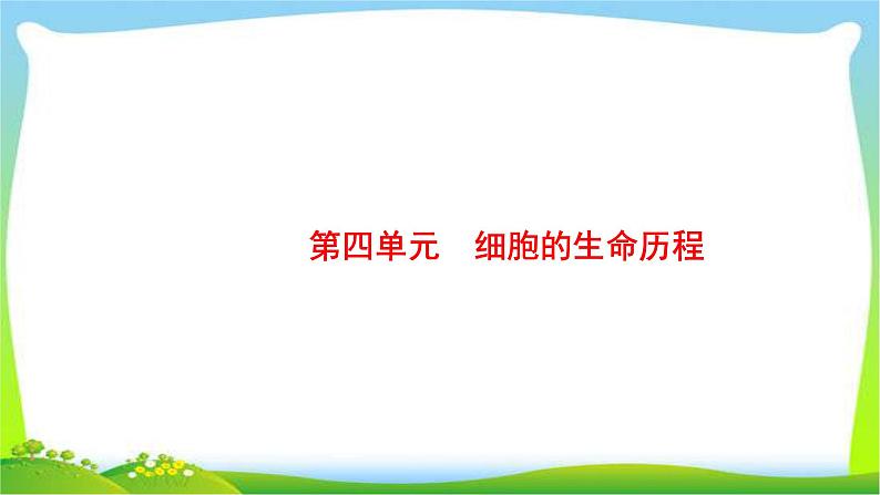 人教版高考生物总复习4.1细胞的增殖完美课件PPT01