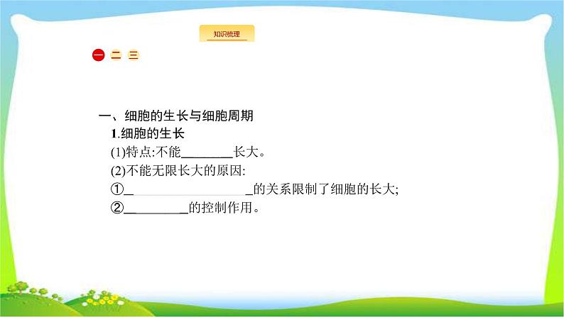 人教版高考生物总复习4.1细胞的增殖完美课件PPT03