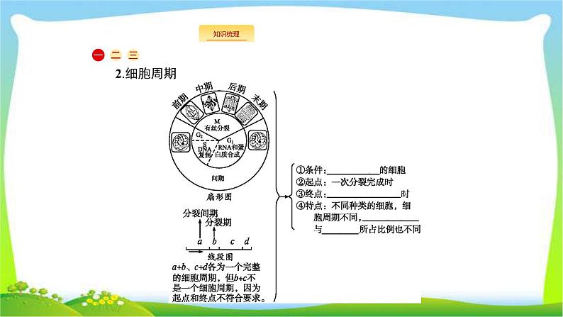 人教版高考生物总复习4.1细胞的增殖完美课件PPT04