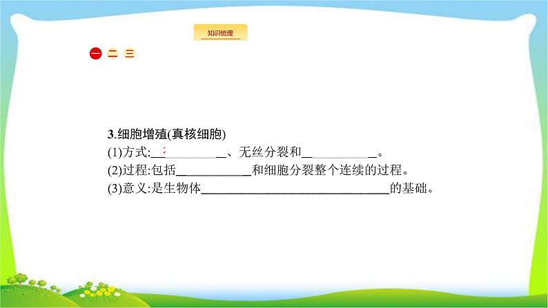 人教版高考生物总复习4.1细胞的增殖完美课件PPT05