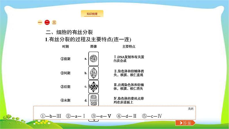 人教版高考生物总复习4.1细胞的增殖完美课件PPT06