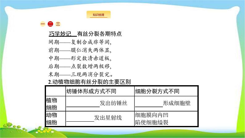 人教版高考生物总复习4.1细胞的增殖完美课件PPT07