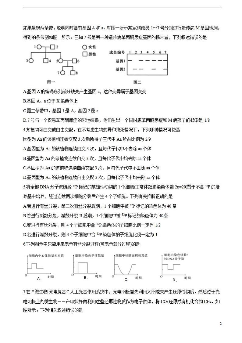 2022届新疆维吾尔自治区喀什市高三上学期全真模拟生物含答案练习题第2页