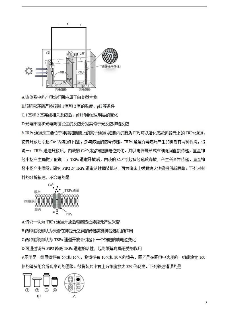 2022届新疆维吾尔自治区喀什市高三上学期全真模拟生物含答案练习题第3页