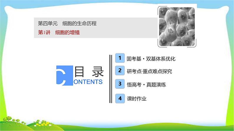 人教版高考生物总复习4.1细胞的增殖完美课件PPT第1页