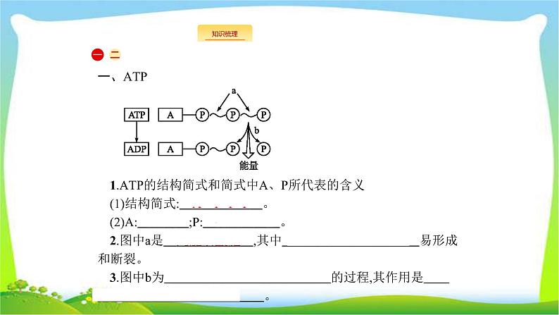 人教版高考生物总复习3.2ATP与细胞呼吸完美课件PPT第2页