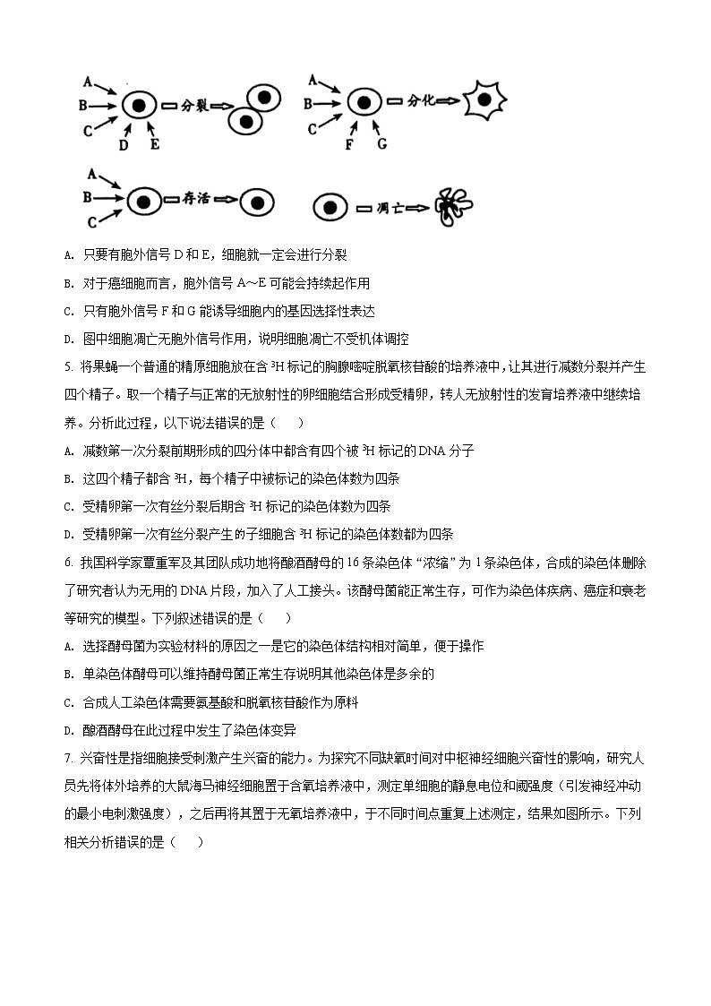 2020屆山東省濰坊市高三二模生物試題(原卷版)第2頁
