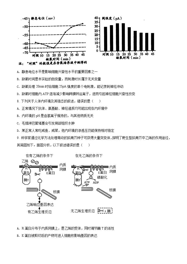 2020屆山東省濰坊市高三二模生物試題(原卷版)第3頁